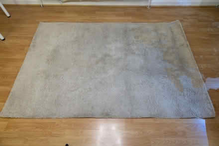Photo of free Rug to give away (Tollerton NG12) #1