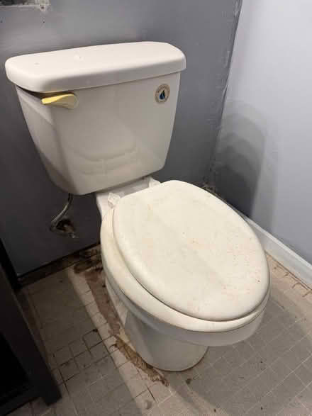 Photo of free Vanity, door, & toilet (20175) #3