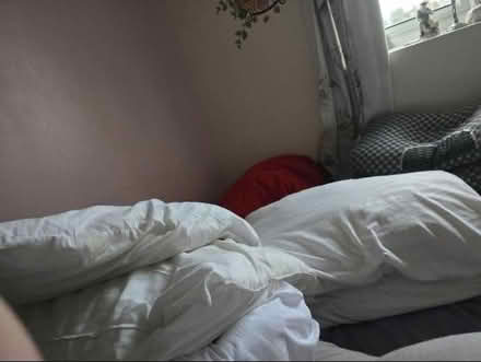 Photo of free Pillows (Hp2 4ef) #1