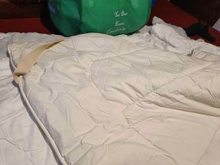 Photo of free Wool mattress topper (East Finchley N2) #2