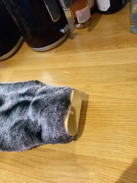 Photo of free Hot Water Bottle (Roundhill area brighton) #3