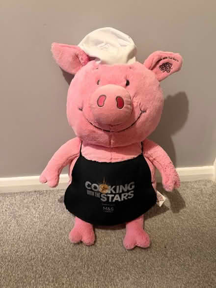 Photo of free Chef piggy (SG19) #1