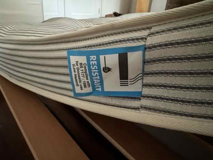 Photo of free Sofa bed (BS6) #2
