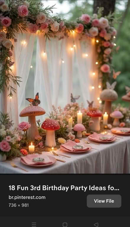 Photo of Fairy pixie party props (Mapperley/st anns NG3) #1