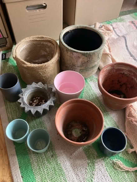 Photo of free Collection of plant pots (Seven sisters near overground) #3