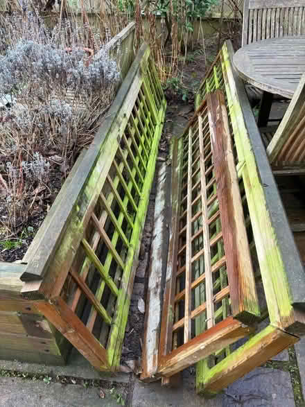 Photo of free Fence trellis panels and capping. (Teddington TW11) #1
