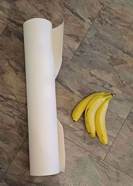 Photo of free Roll of Lining paper - useful for craft (IP4) #2