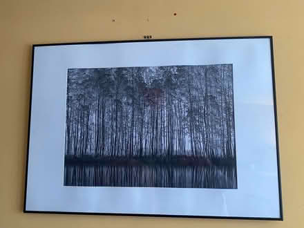 Photo of free Picture and frame (Bracknell RG12) #1