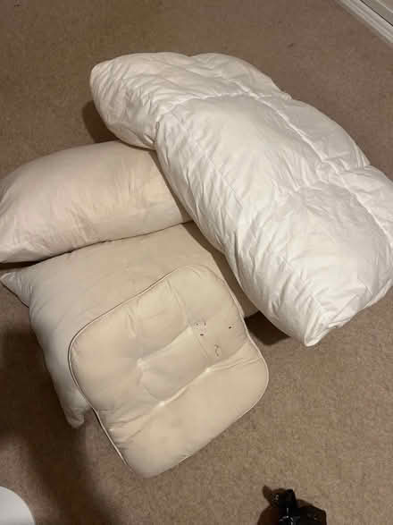 Photo of free Beddings (Gosmore SG4) #1