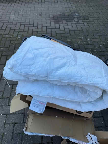 Photo of free Single duvet 13.5 tog (Bishops Cleeve) #2
