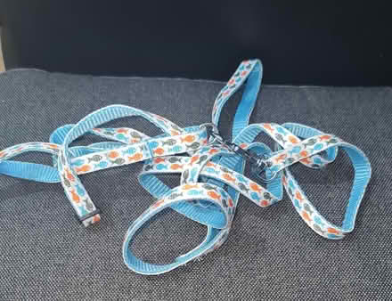 Photo of free Cat leesh (Manor Park E12) #1