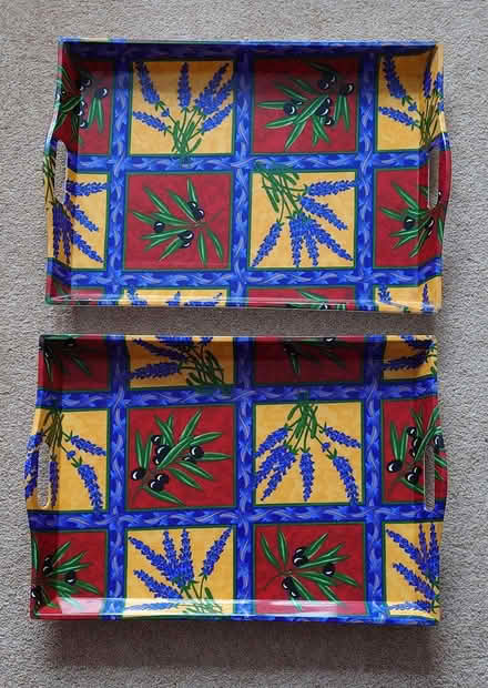 Photo of free Large trays (4) (West Bedhampton PO9) #2