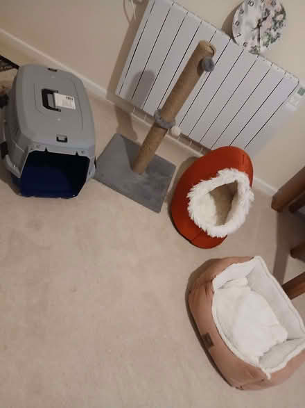 Photo of free Cat stuff (Bournemouth BH1) #1