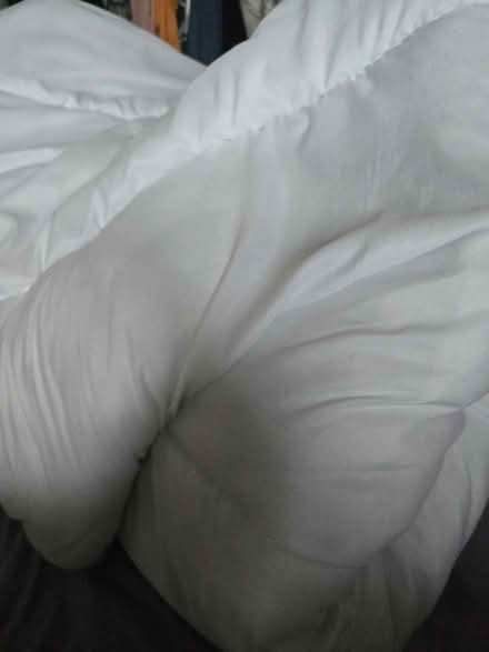 Photo of free 15 tog warm duvet (HP2) #1