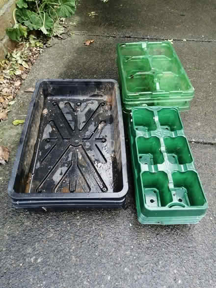 Photo of free Various Seed. Trays (MK14 Great Linford) #1