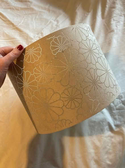 Photo of free Ceiling lamp shade (Shelf HX3) #1