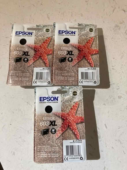 Photo of free Epsom ink cartridges (South Ockendon RM15) #1