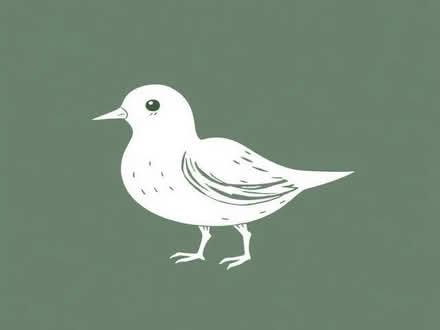 Photo of White silk paint (Eastbourne BN20) #1