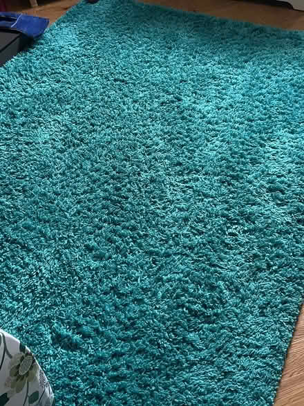 Photo of free Rug (Co77np) #1