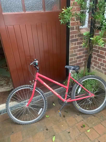 Photo of free Ladies Raleigh Bicycle (Cockfosters EN4) #1