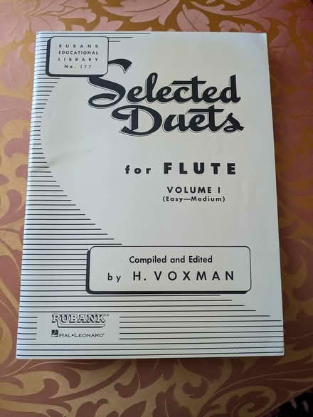 Photo of free flute music (Durham, west side) #1