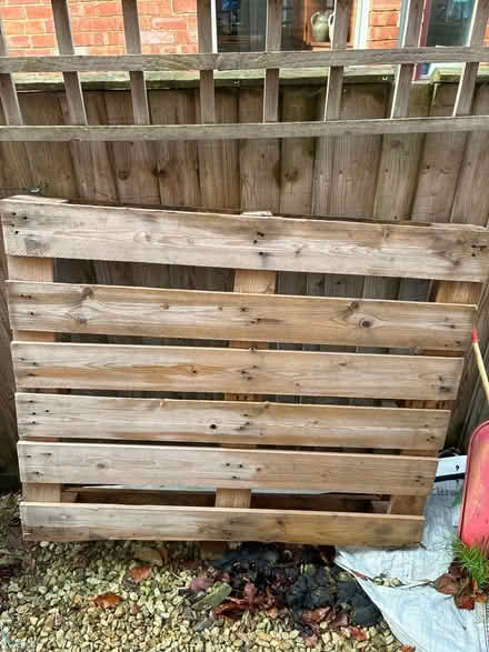 Photo of free Wooden pallet (Leckhampton GL53) #1