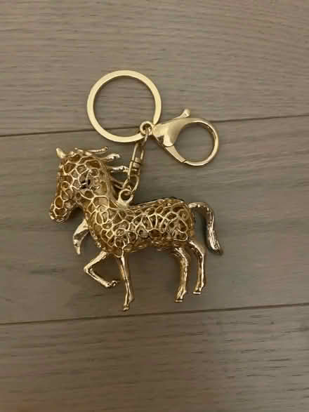 Photo of free Horse keychain (Kennedy/16th in Markham) #2
