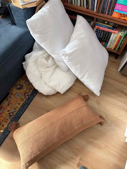 Photo of free Queen Duvet Insert + pillow inserts (Marina) #1