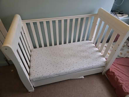 Photo of free Cot (Bowerham LA1) #1