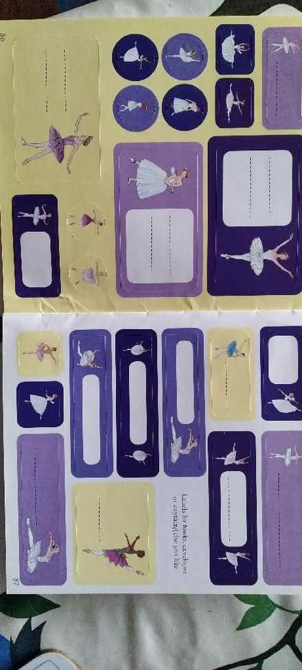 Photo of free Ballet stickers (Kennington OX1) #1