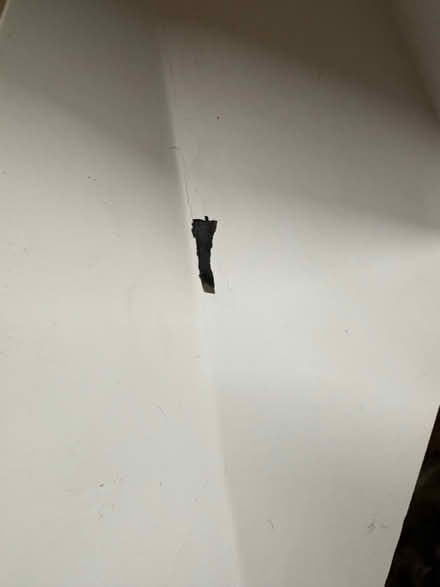 Photo of free Modern Lamp (Liverpool L13) #3