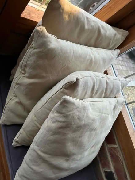 Photo of free 4 light green cushions (Riverhead) #1