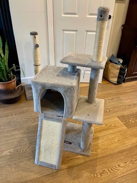Photo of free Cat Activity Tree (Harbury CV33) #1