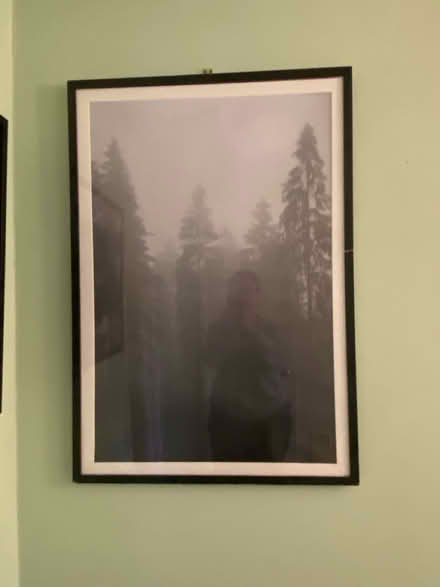 Photo of free Picture with frame (Bracknell RG12) #1