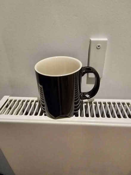 Photo of free Black mug (Oval Quarter SW9) #1