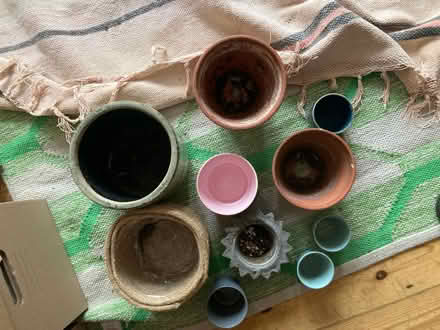 Photo of free Collection of plant pots (Seven sisters near overground) #2