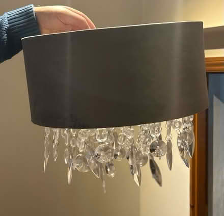 Photo of free Dark grey and crystal lampshade (Banstead SM7) #1