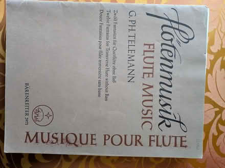 Photo of free flute music (Durham, west side) #4