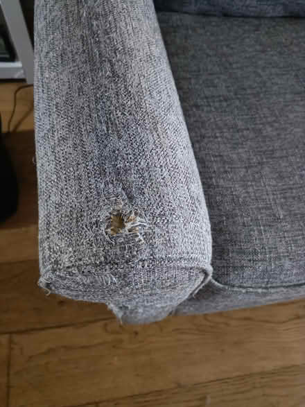 Photo of free to good home (East Kilbride) #4