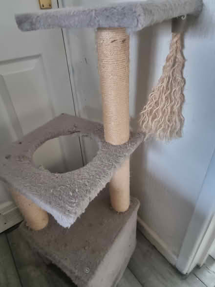 Photo of free Cat Tree (Leominster) #2