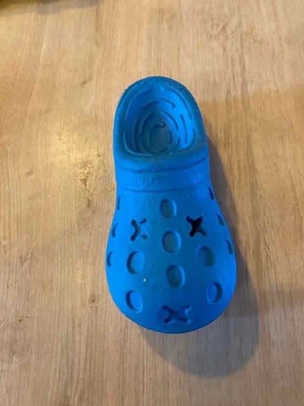 Photo of free Stuff for a dog - Various (Bracknell RG12) #2