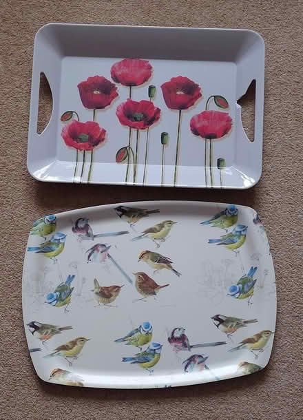 Photo of free Large trays (4) (West Bedhampton PO9) #1