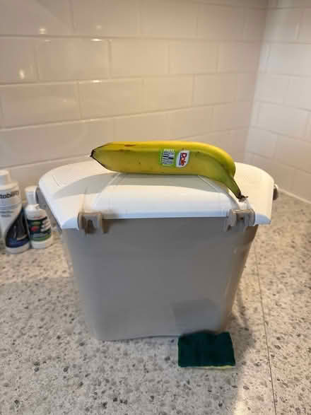 Photo of free Small Compost bin for kitchen (Uplands / Paul Anka) #4