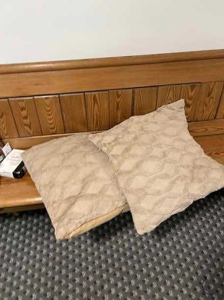 Photo of free Big floppy brown cushions (West Ealing) #1