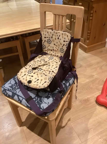 Photo of free Booster seat (Craiglockhart EH14) #2