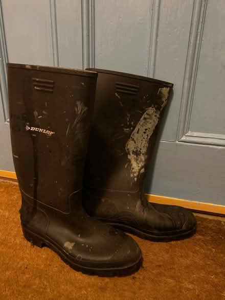 Photo of free Dunlop size 11 men’s wellies (Amersham on the Hill, HP6) #1
