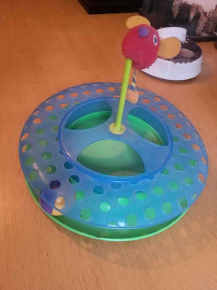 Photo of free Cat toy (Prenton CH43) #3