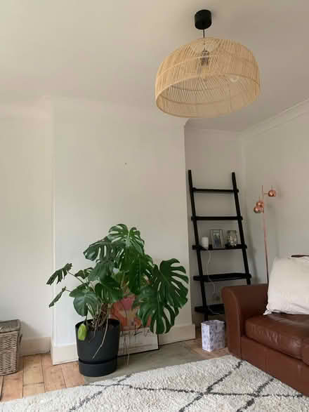 Photo of free La Redoute Marrakech rug (GU21 4) #4