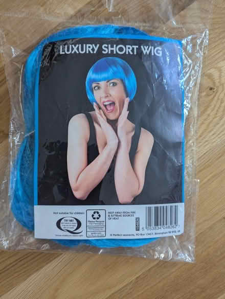 Photo of free Blue wig (West Norwood SE27) #1