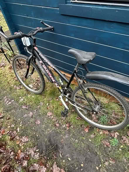 Photo of free Women’s bike (GU21 4) #3